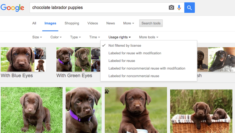 How to use Google Images search tools for usage rights