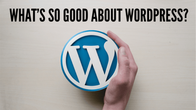 What's so Good About WordPress?